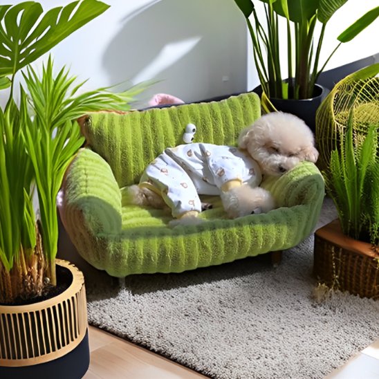 Canaper-pour-chien-top-confort