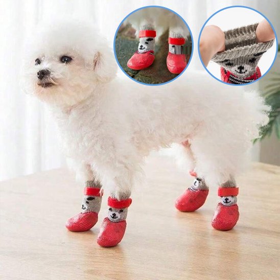 Chaussures-pour-chien-adaptable-toutes-pattes