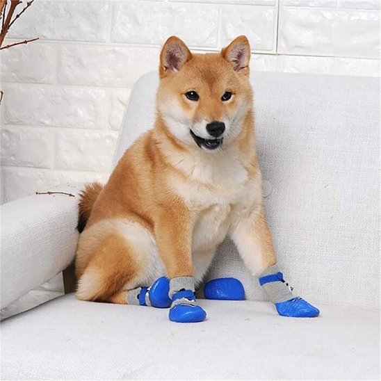 Chaussures-pour-chien-maintien-patte-chien-corectement