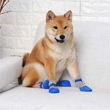 Chaussures-pour-chien-maintien-patte-chien-corectement