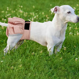Culotte-chien-convient-tous-chienne