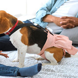 Culotte-chien-ultra-confortable