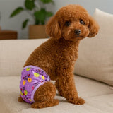 Culotte-pour-chien-eficace