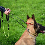 Double-laisse-pour-chien-icontrole-total
