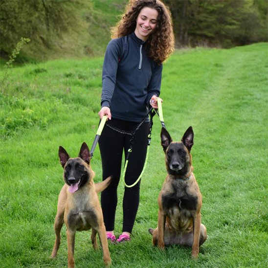 Double-laisse-pour-chien-ideale-pour-sorite