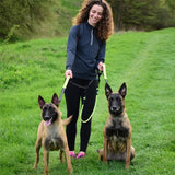 Double-laisse-pour-chien-ideale-pour-sorite