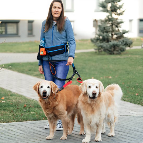 Double-laisse-pour-chien-securiter-renforcer