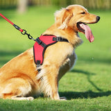 Harnais-pour-chien-confort-maximum
