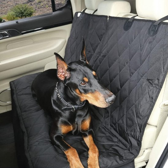 Housse-voiture-chien-confort