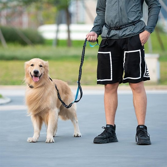 Laisse-canicross-confortable-maitre-chien