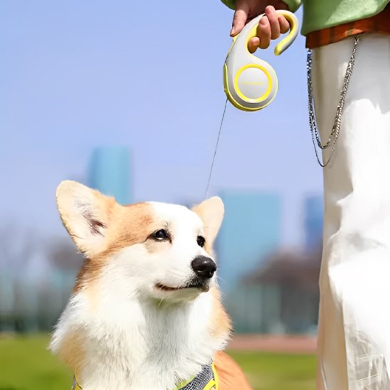 Laisse-enrouleur-confort-maximum-chien