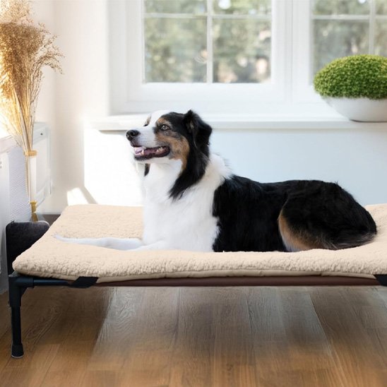 Lit-pour-chien-sureleve-ultra-doux