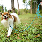 Longe-pour-chien-adapter-pour-toutes-situation