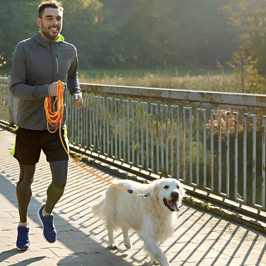 Longe-pour-chien-libre-cour-aniamux