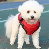 Manteau-Chien-adapter-tous-chien