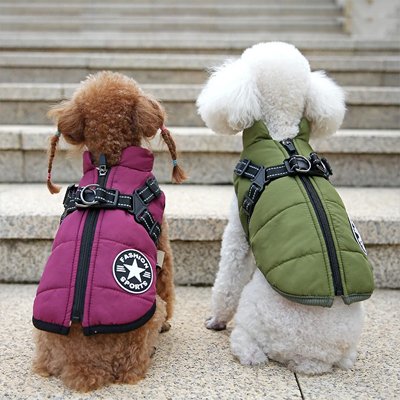 Manteau-Chien-boucle-renforcer