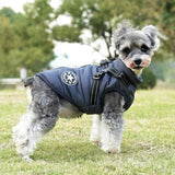 Manteau-Chien-presentation