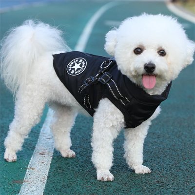 Manteau-Chien-top-confort