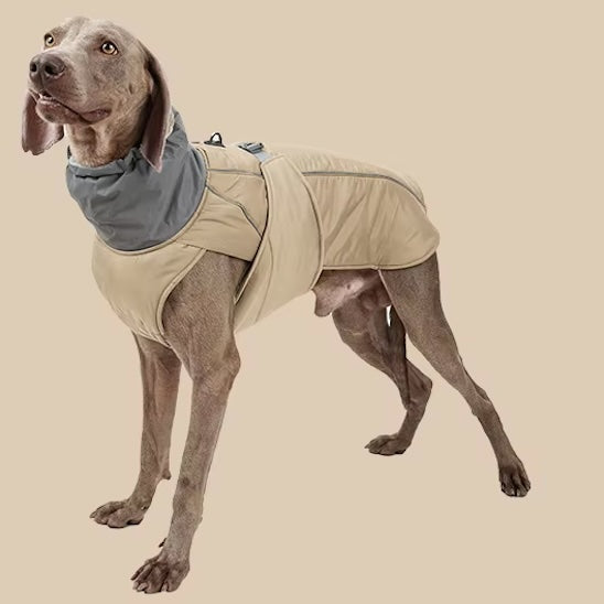 Manteau-pour-chien-beige