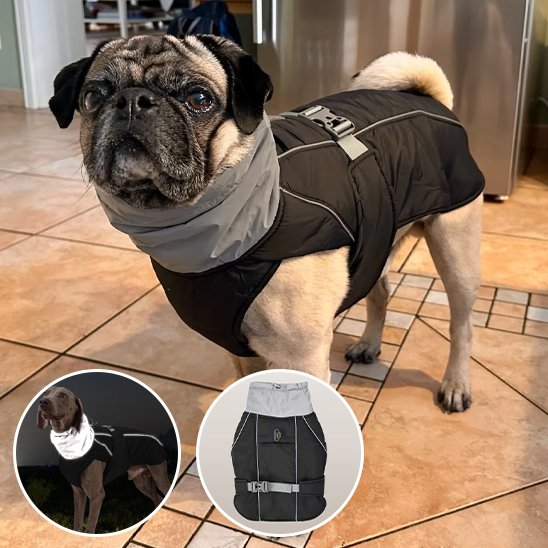 Manteau-pour-chien-facile-a-utiliser
