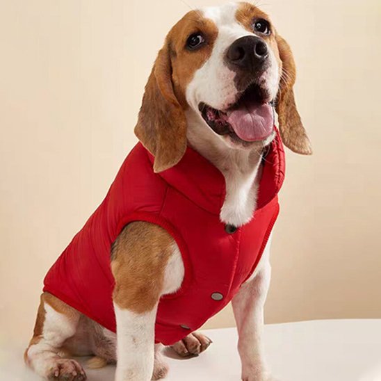 Manteau-pour-chien-faciliter-installation