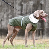 Manteau-pour-chien-securiter-maximum
