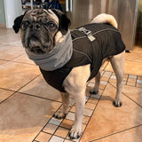Manteau-pour-chien-tissue-reflechissent