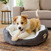Panier-petit-chien-trop-mignon