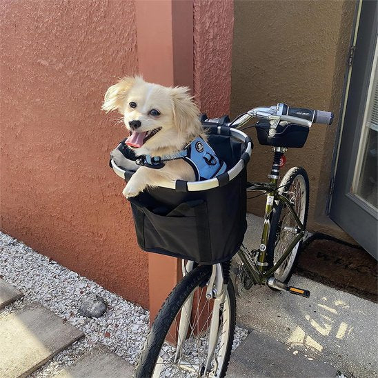 Panier-velo-chien-equilibrer