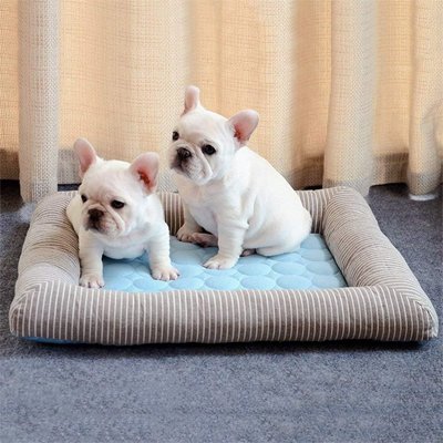 Tapis-rafraichissant-Chien-tissus-respirant