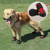 chaussure-chien-sadapte-morfologie-chien