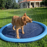 piscine chien secoue dans eau dans piscine