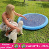 piscine-pour-chien-apprentissage
