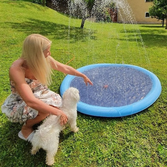 Piscine pour Chien | CoolDog™