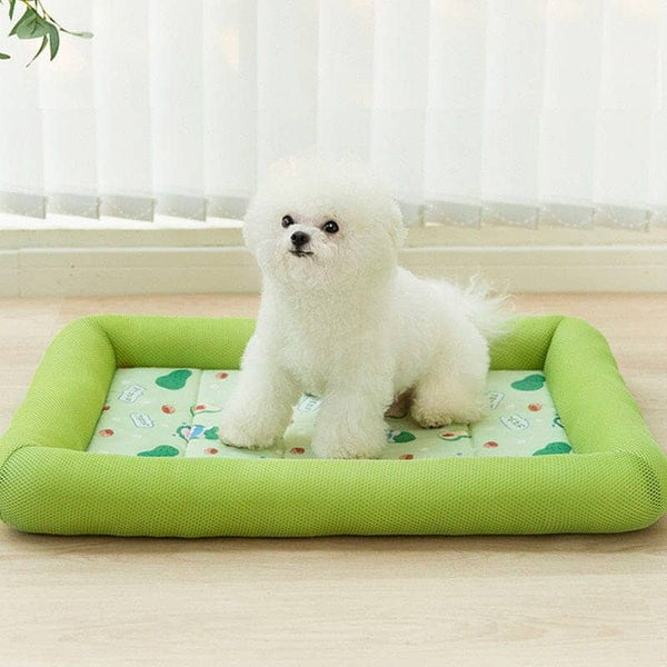 tapis-rafraichissant-chien-alerte