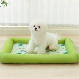 tapis-rafraichissant-chien-alerte