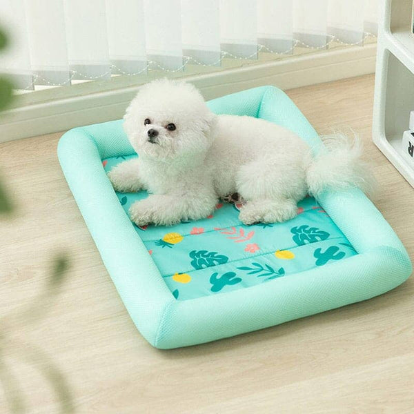 tapis-rafraichissant-chien-eveiller
