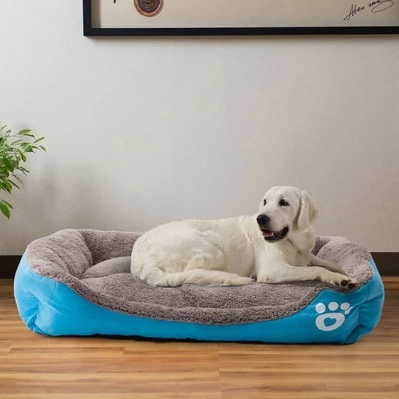 panier-chien-anti-stress-bleu-ciel-grand-format