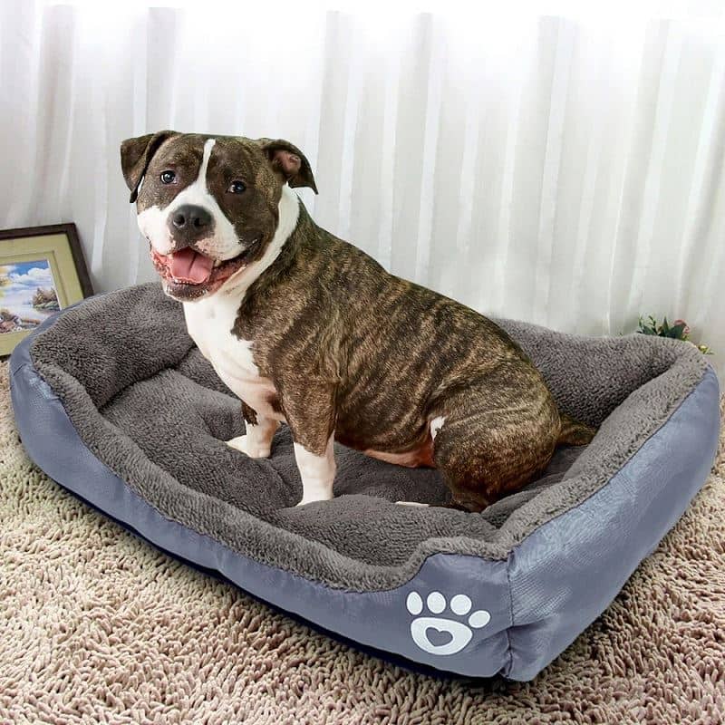 panier-chien-anti-stress-compense-poids