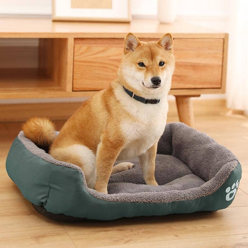 panier-chien-anti-stress-resistant