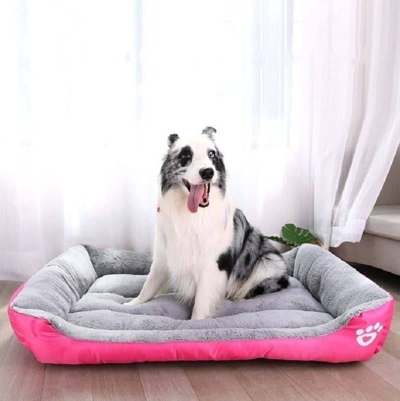 panier-chien-anti-stress-rose-grand-taille