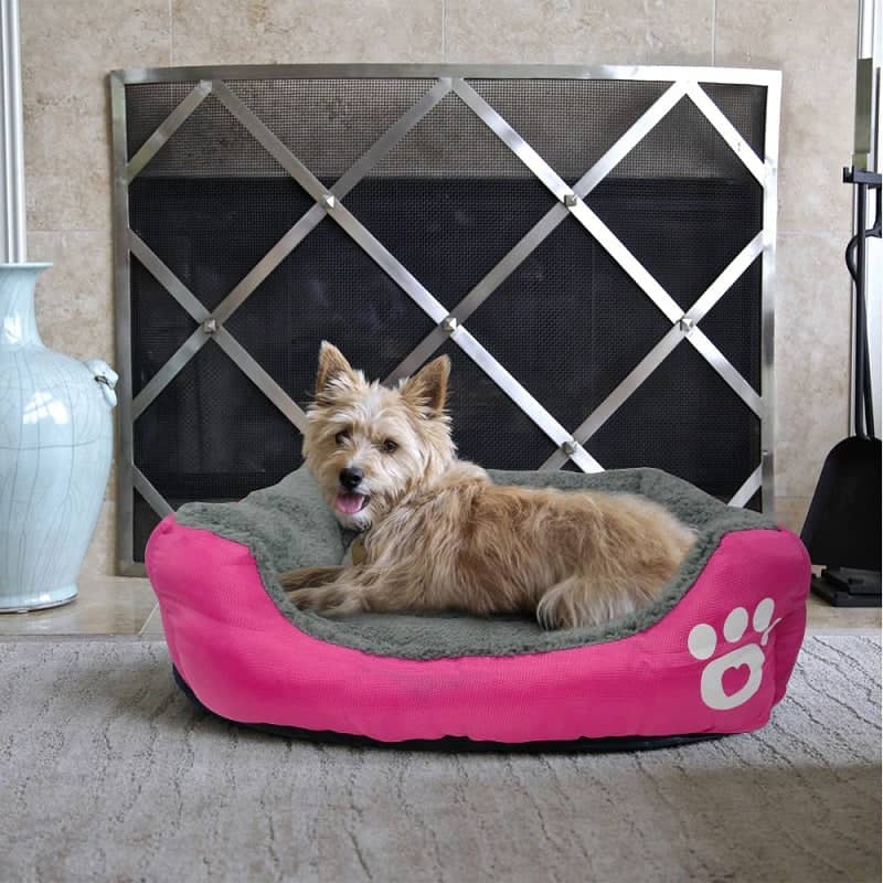 panier-chien-anti-stress-rose